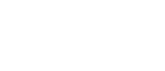 Arena Elite